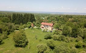 Pensiunea Elena
